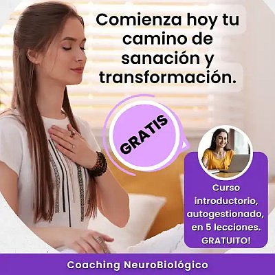 curso gratuito introductorio